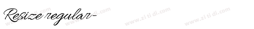 Resize regular字体转换